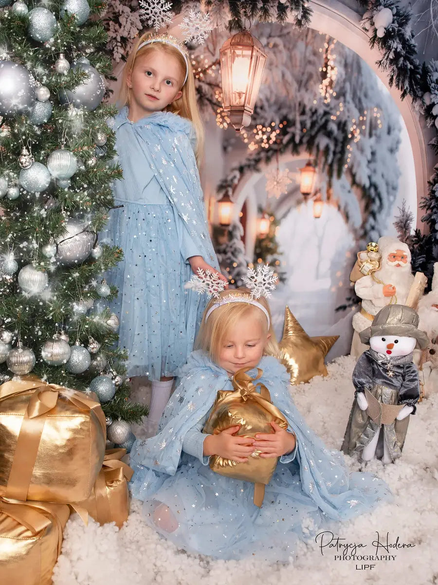 Kate Winter Retro White Flower Christmas Arch Hallway Backdrop Designed by Emetselch