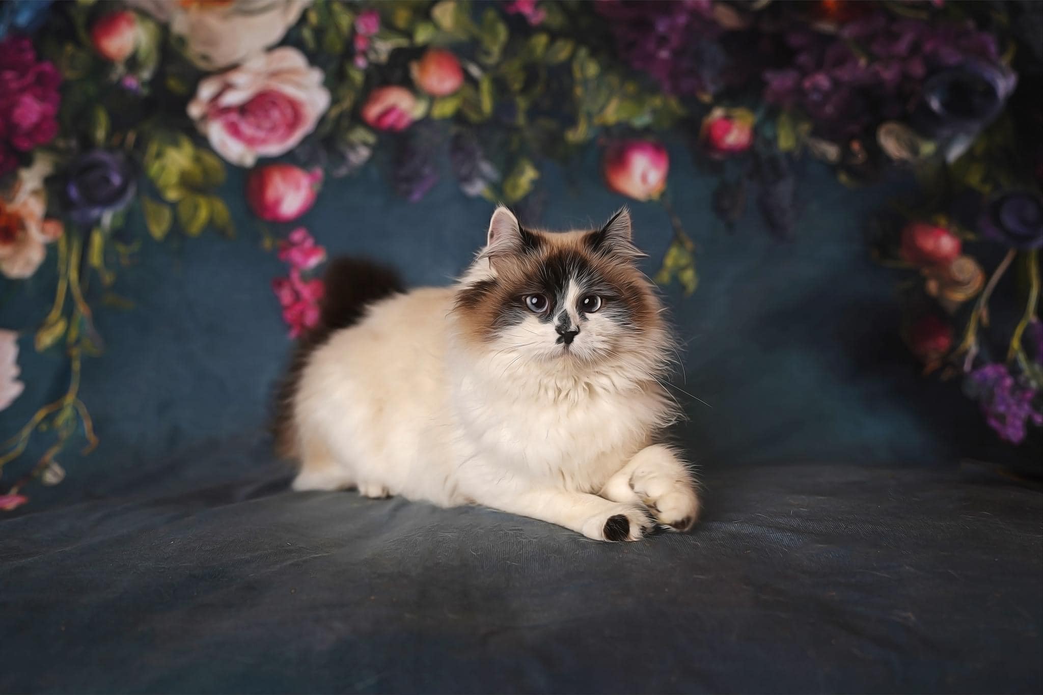Kate Spring Fine Art Oil Painterly Floral Dark Teal Backdrop Designed by Mini MakeBelieve