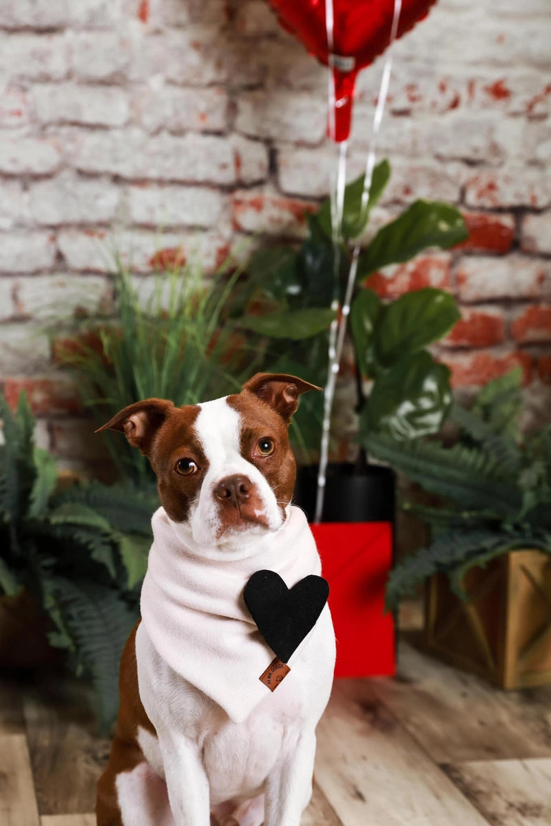 Kate Damaged Brick White Wall  Backdrop for Photography Designed by Pine Park Collection - Purezens