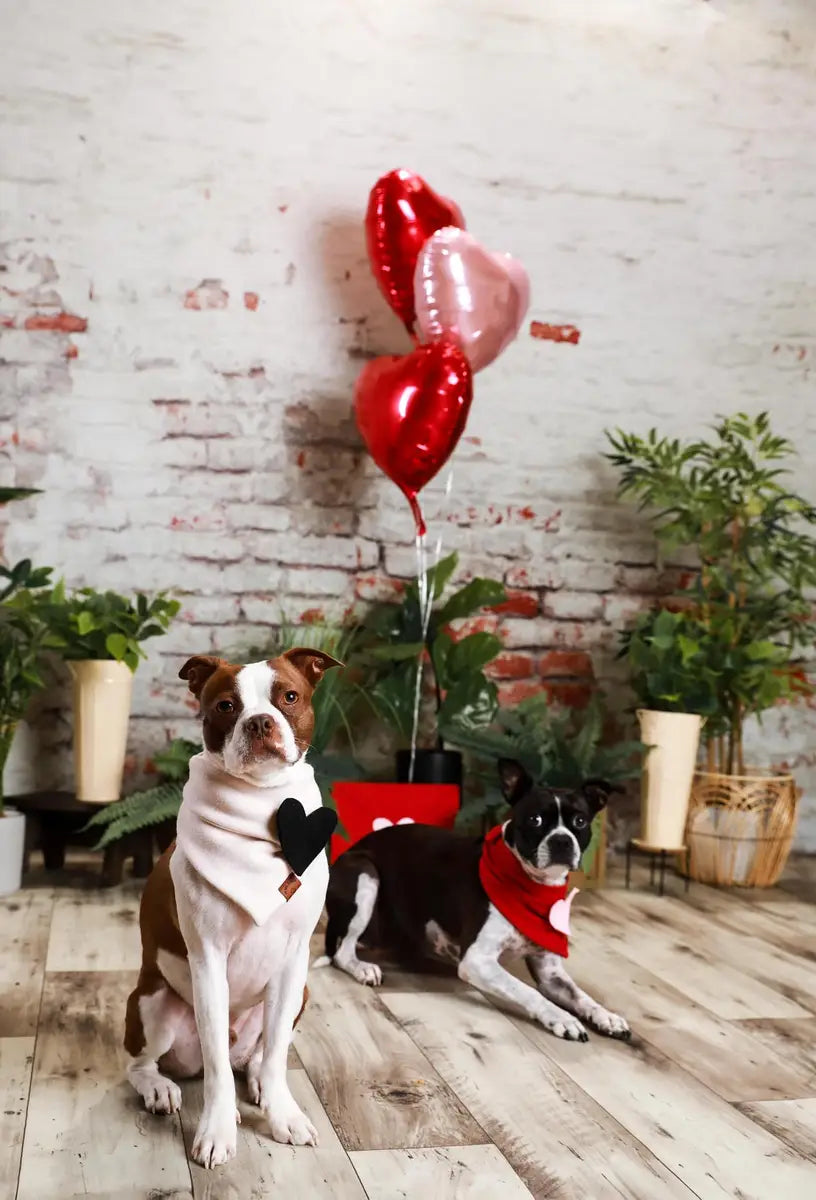Kate Damaged Brick White Wall  Backdrop for Photography Designed by Pine Park Collection - Purezens