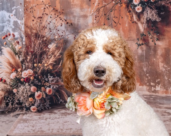 Kate Boho Dark Brown Indoor Reed Floral Old Brick Wall Backdrop Designed by Emetselch