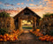 Kate Autumn/Fall Pumpkin Farm Backdrop for Photography