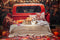 Kate Autumn Forest Maple Leaf Pumpkin Dark Orange Truck Backdrop Designed by Emetselch
