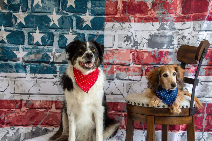 Kate Graffiti American Independence Day Brick Backdrop - Purezens