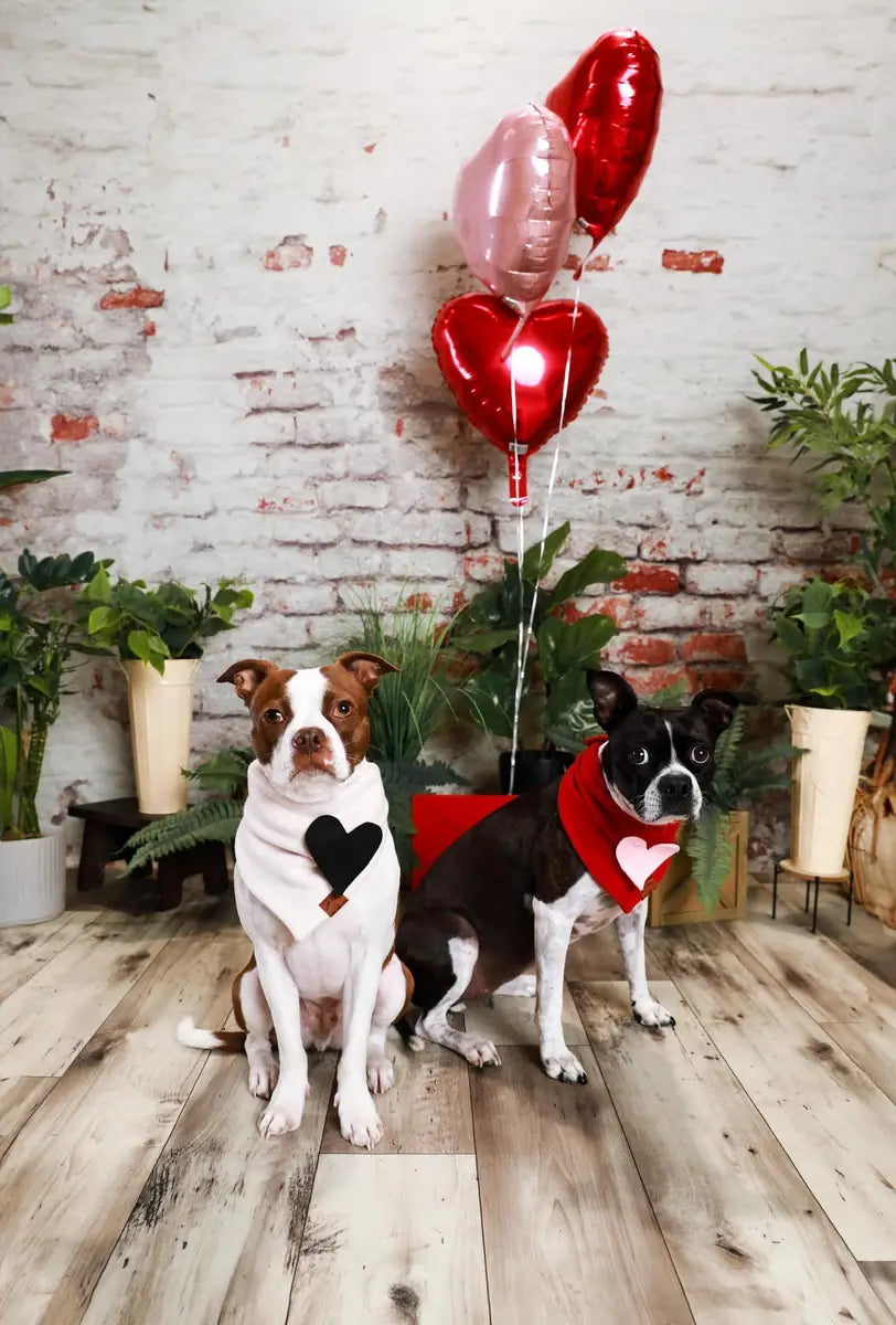 Kate Damaged Brick White Wall  Backdrop for Photography Designed by Pine Park Collection - Purezens