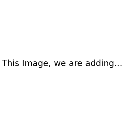 Kate Custom Printed Backdrop for Photography (Size: width x height) - Purezens