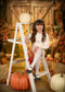 Kate Autumn Barn Pumpkin Backdrop Designed by Emetselch