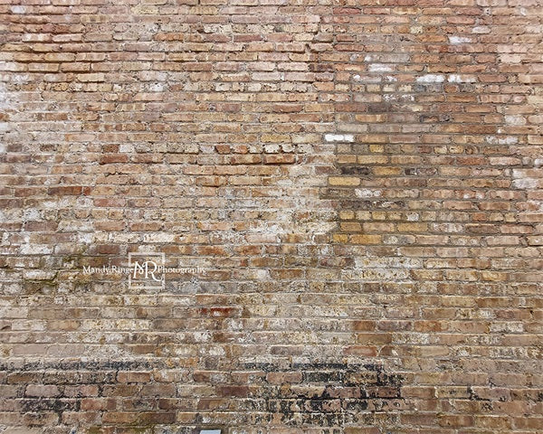 Kate Old Urban Brick Backdrop Designed by Mandy Ringe Photography