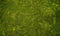 Kate Wonderland Grass Green Rubber Floor Mat Designed by Arica Kirby - Purezens