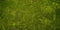 Kate Wonderland Grass Green Rubber Floor Mat Designed by Arica Kirby - Purezens