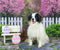 Kate Rock Wall Stone Road with Moss Rubber Floor Mat - Purezens