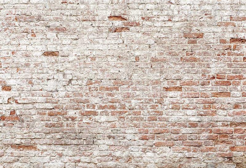 Kate Old Brick Wall Backdrop Designed by Kate Image - Purezens
