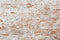 Kate Old Brick Wall Backdrop Designed by Kate Image - Purezens