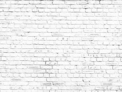 Katebackdrop鎷㈡綖Kate Simple Retro White Brick Wall  Backdrop for Photography