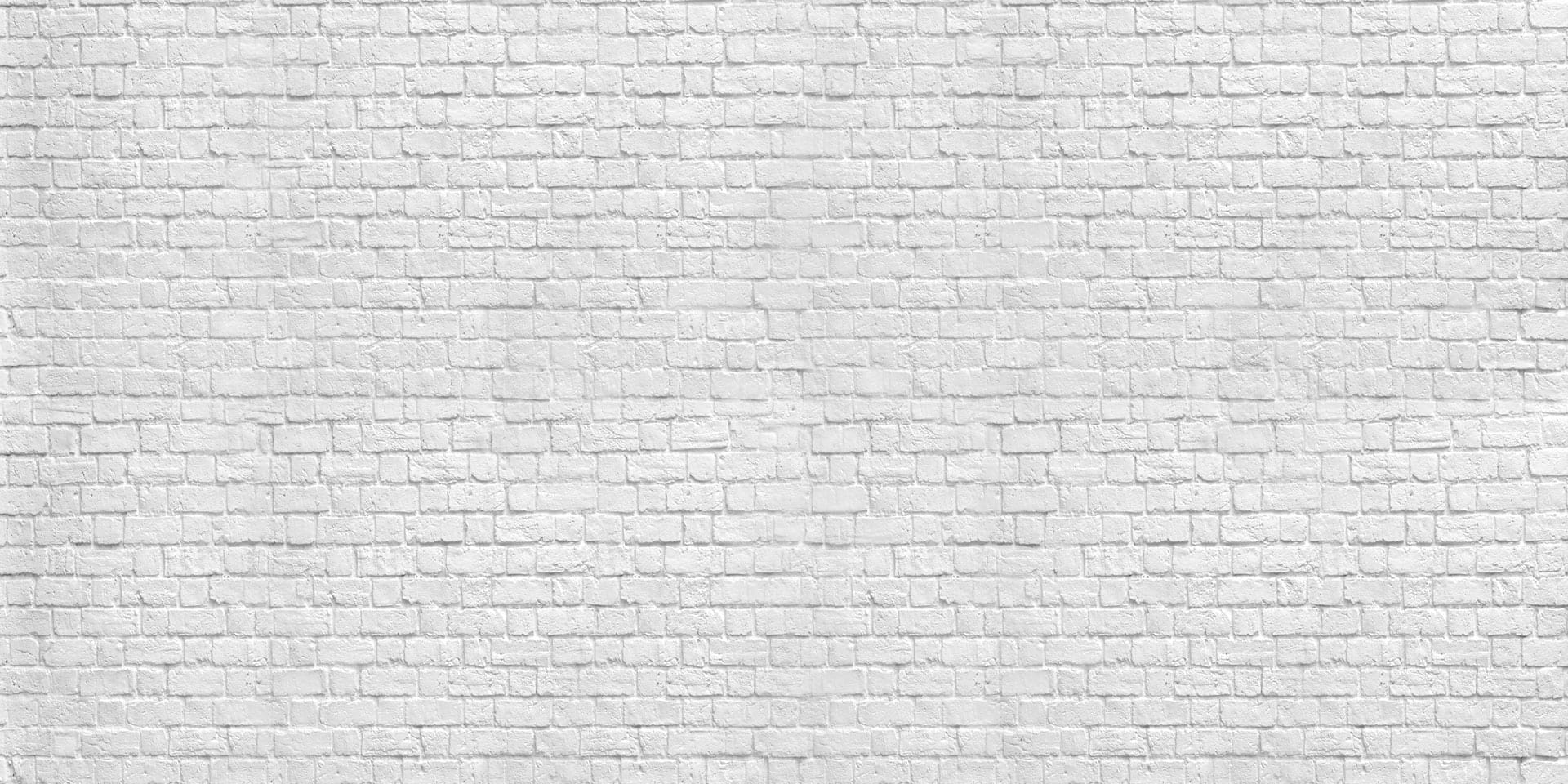 Kate Gray White Brick Wall Graduation Backdrop Studio - Purezens