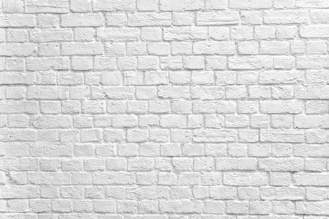 Kate Gray White Brick Wall Graduation Backdrop Studio - Purezens