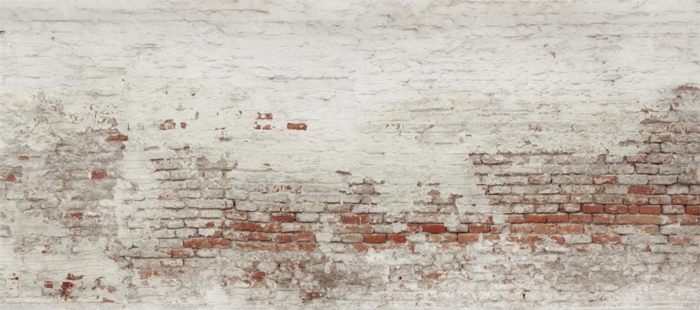 Kate Damaged Brick White Wall  Backdrop for Photography Designed by Pine Park Collection - Purezens