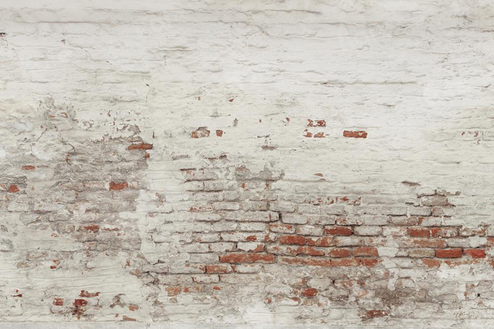 Kate Damaged Brick White Wall  Backdrop for Photography Designed by Pine Park Collection - Purezens
