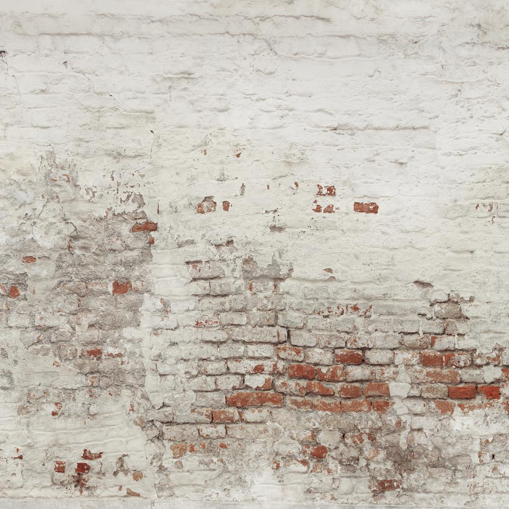 Kate Damaged Brick White Wall  Backdrop for Photography Designed by Pine Park Collection - Purezens