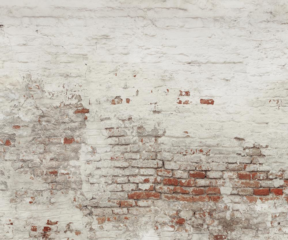 Kate Damaged Brick White Wall  Backdrop for Photography Designed by Pine Park Collection - Purezens