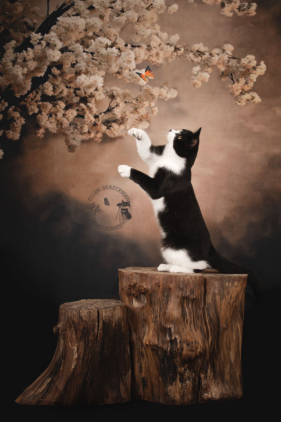 Kate Abstract Background With Florals Backdrops for Photography - Purezens