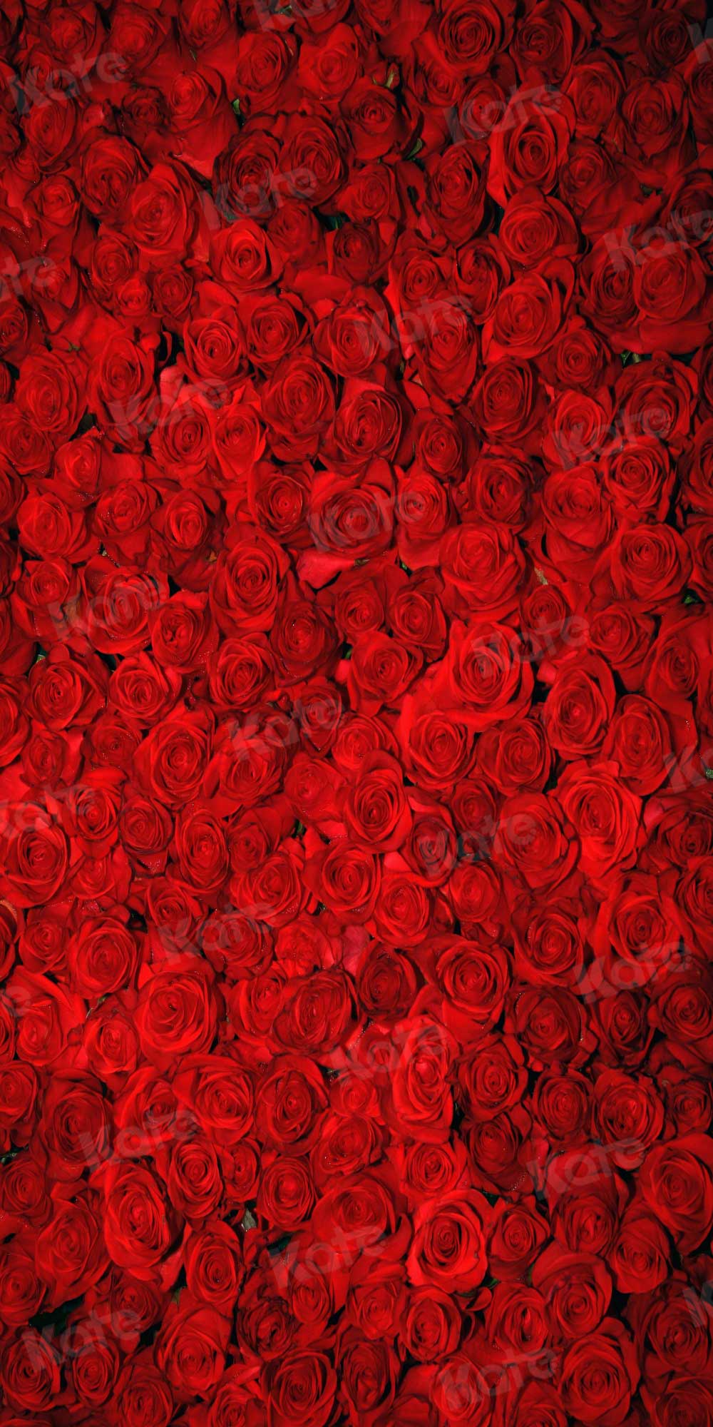 Kate Red Roses Valentine's Day Florals Photography Backdrop - Katebackdrop