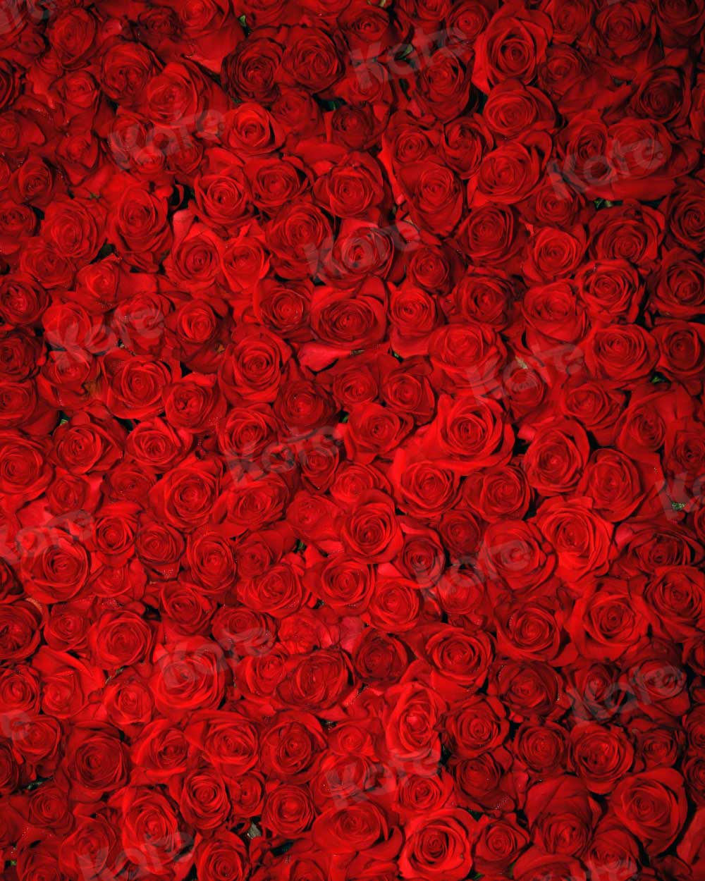 Kate Red Roses Valentine's Day Florals Photography Backdrop - Katebackdrop
