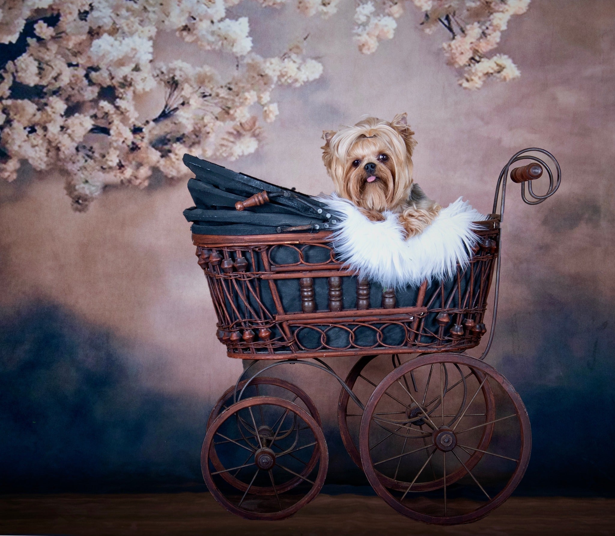 Kate Abstract Background With Florals Backdrops for Photography - Purezens