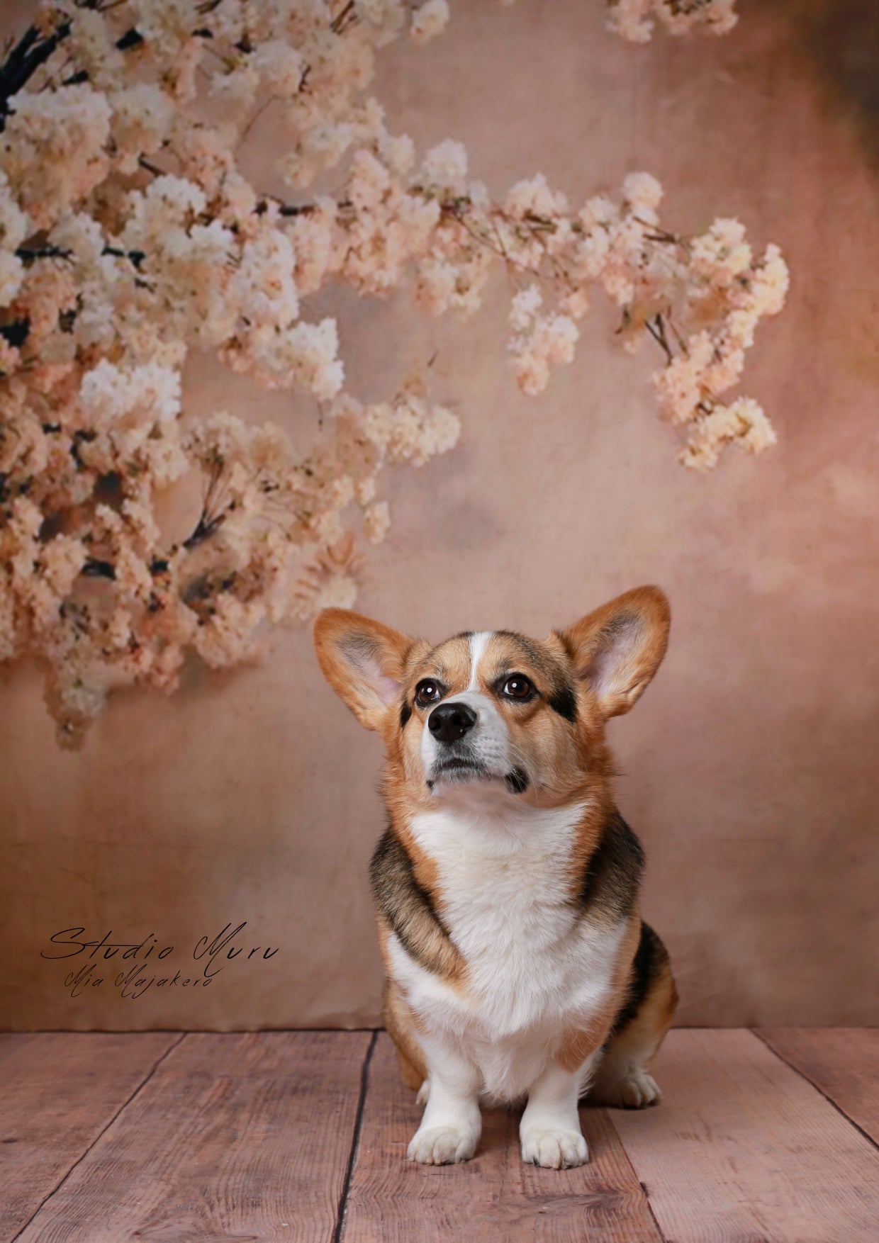 Kate Abstract Background With Florals Backdrops for Photography - Purezens