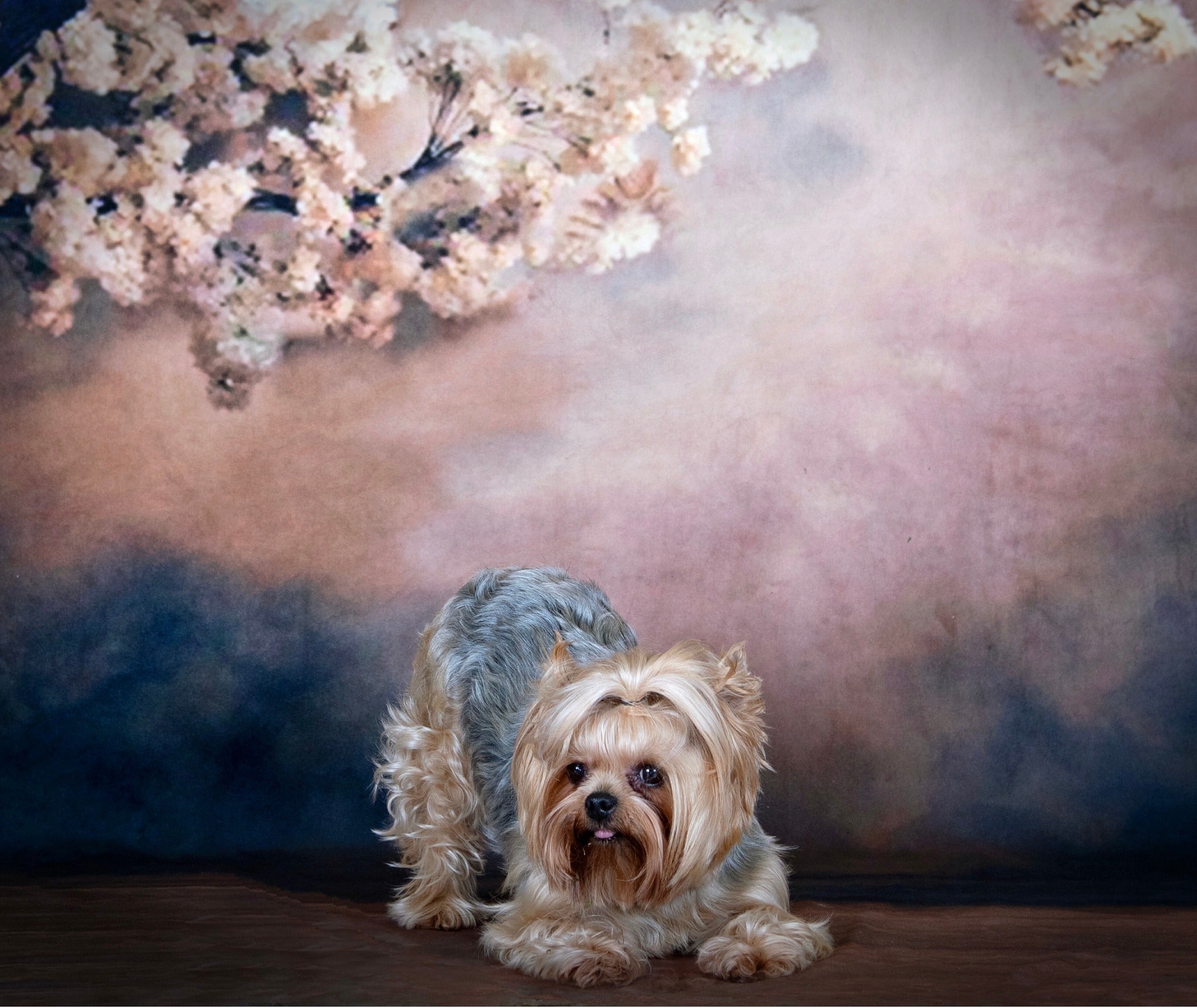 Kate Abstract Background With Florals Backdrops for Photography - Purezens