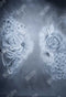 Kate Fine Art Florals Denim/Blue Backdrop Portrait Photography - Purezens